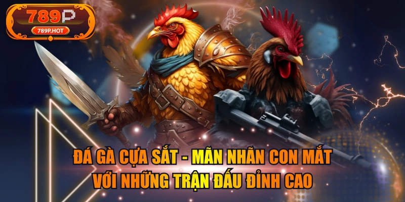 Đá Gà Cựa Sắt - Mãn Nhãn Con Mắt Với Những Trận Đấu Đỉnh Cao